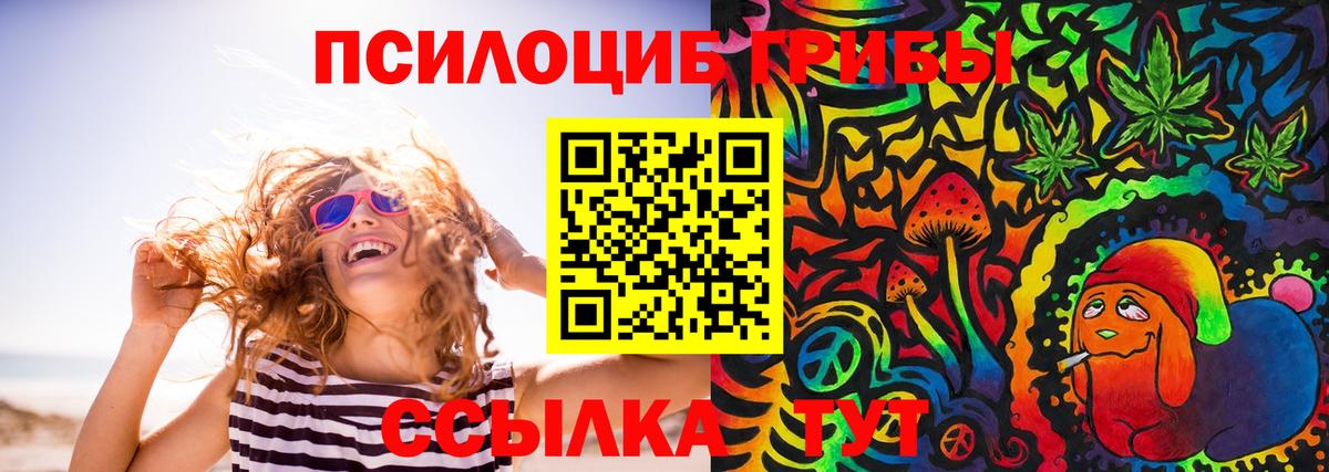 Псилоцибиновые грибы Cubensis Дзержинск